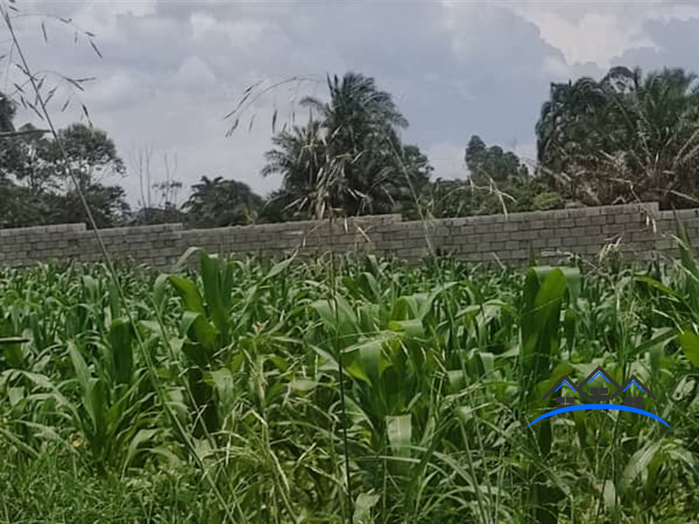 Residential Land for sale in Namugongo Wakiso