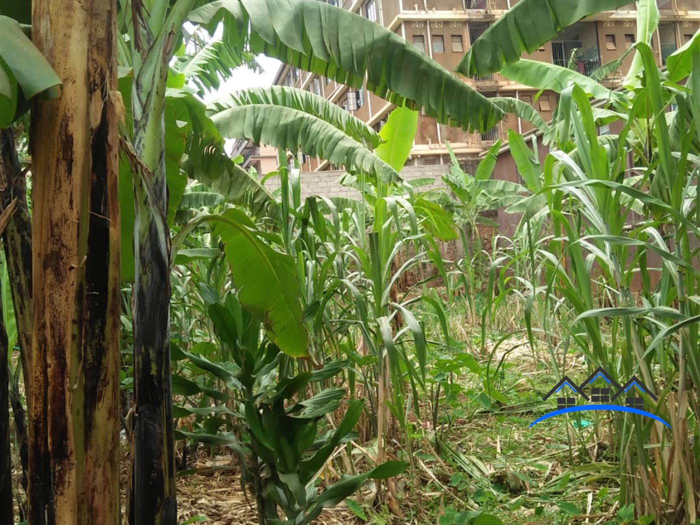 Residential Land for sale in Kikoni Kampala