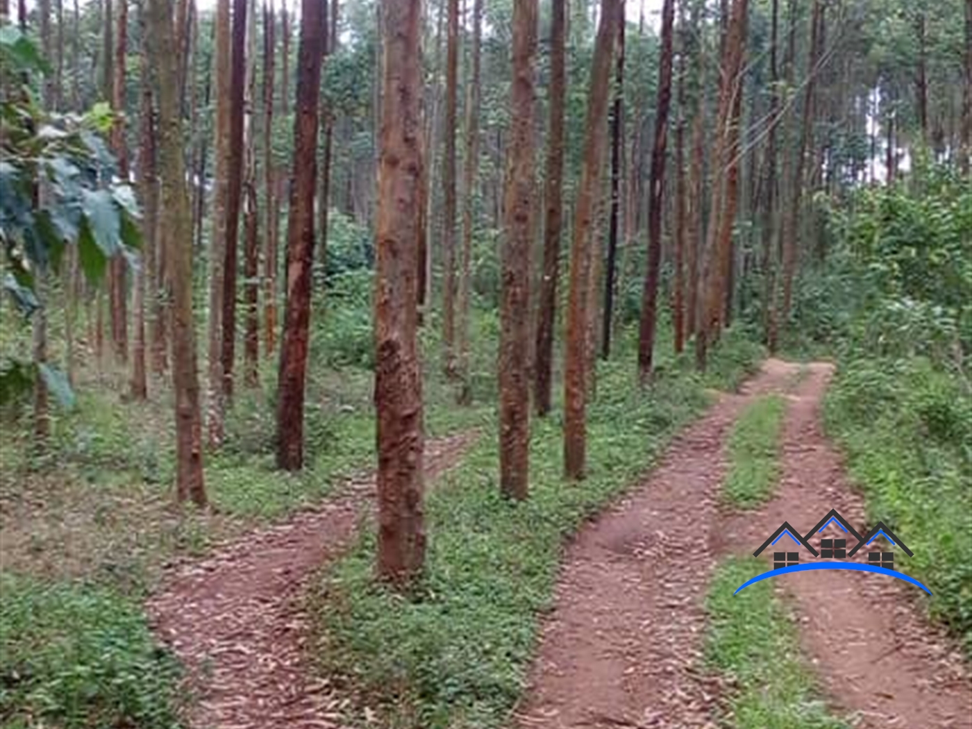 Residential Land for sale in Kasanjje Wakiso