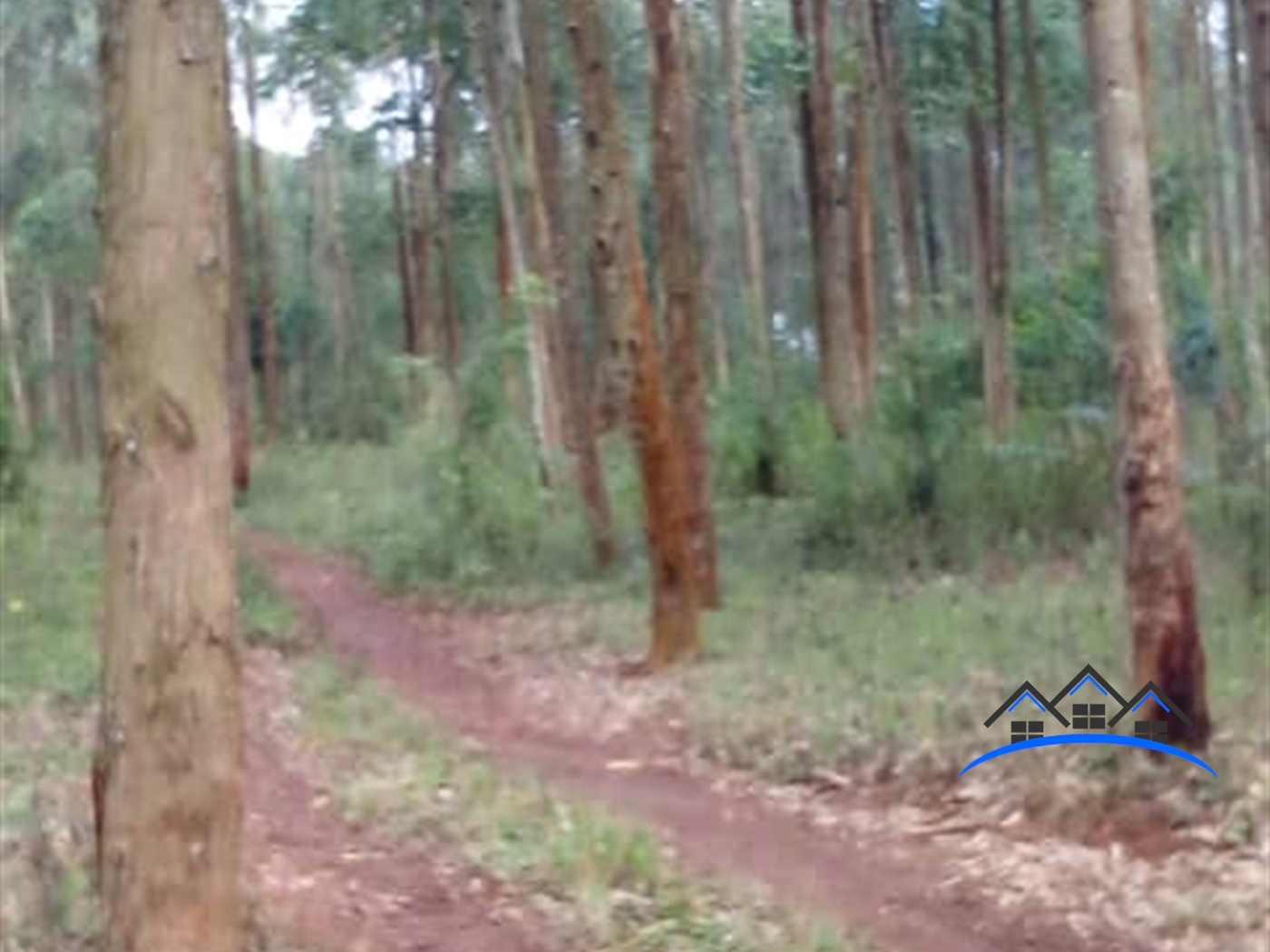 Residential Land for sale in Kasanjje Wakiso