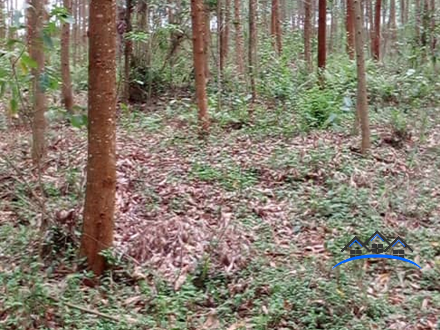 Residential Land for sale in Kasanjje Wakiso