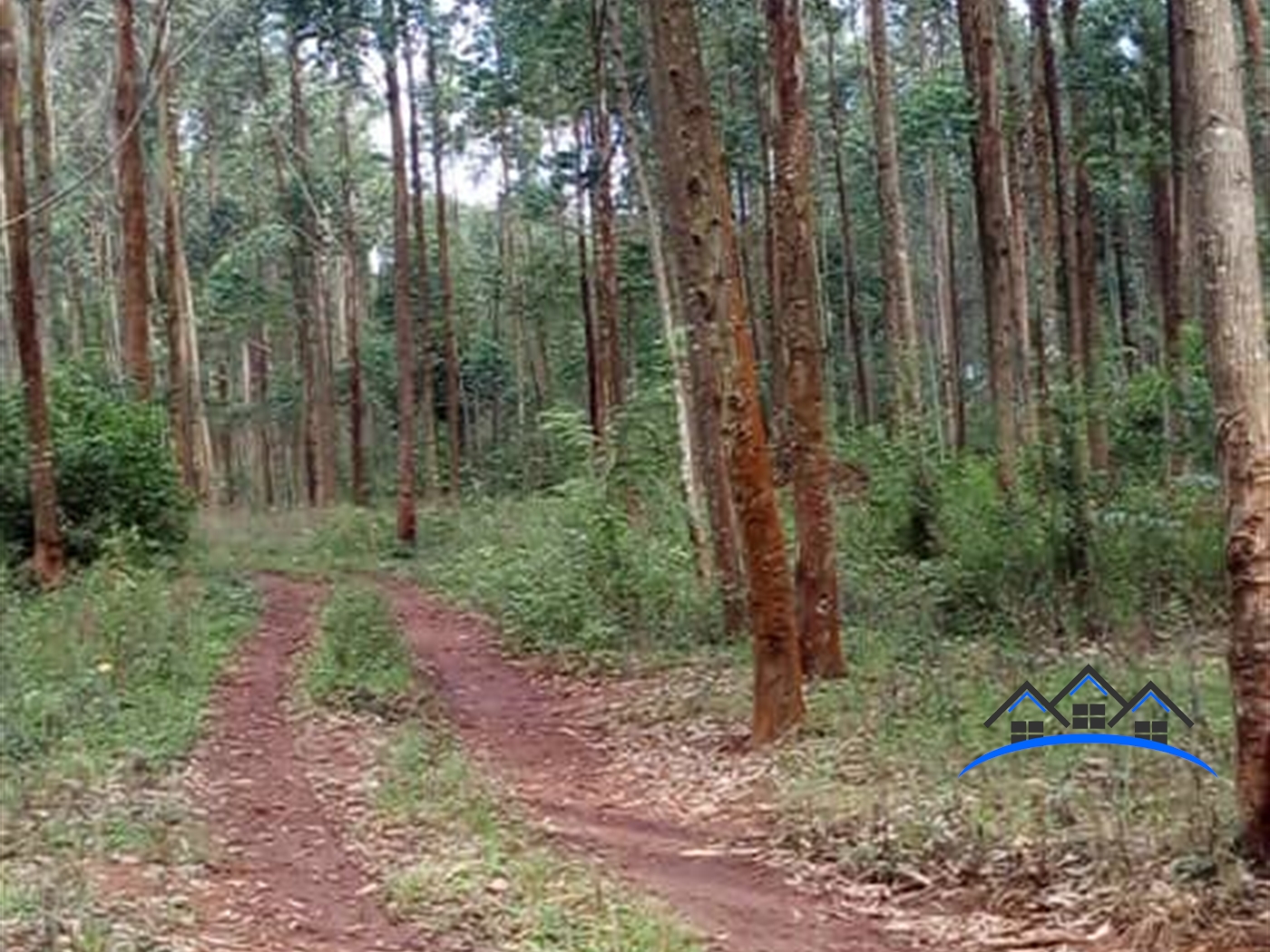 Residential Land for sale in Kasanjje Wakiso