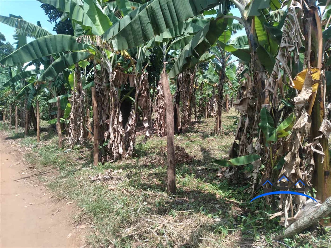 Residential Land for sale in Gayaza Wakiso