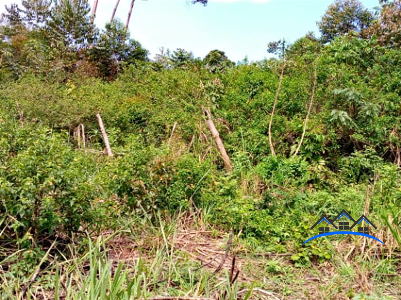 Agricultural Land for sale in Nkokonjeru Buyikwe