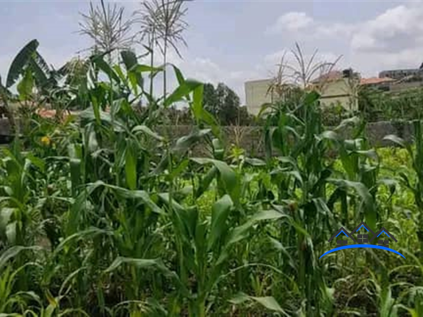 Residential Land for sale in Kira Wakiso