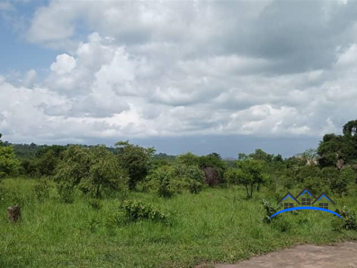 Agricultural Land for sale in Okidi Amuru