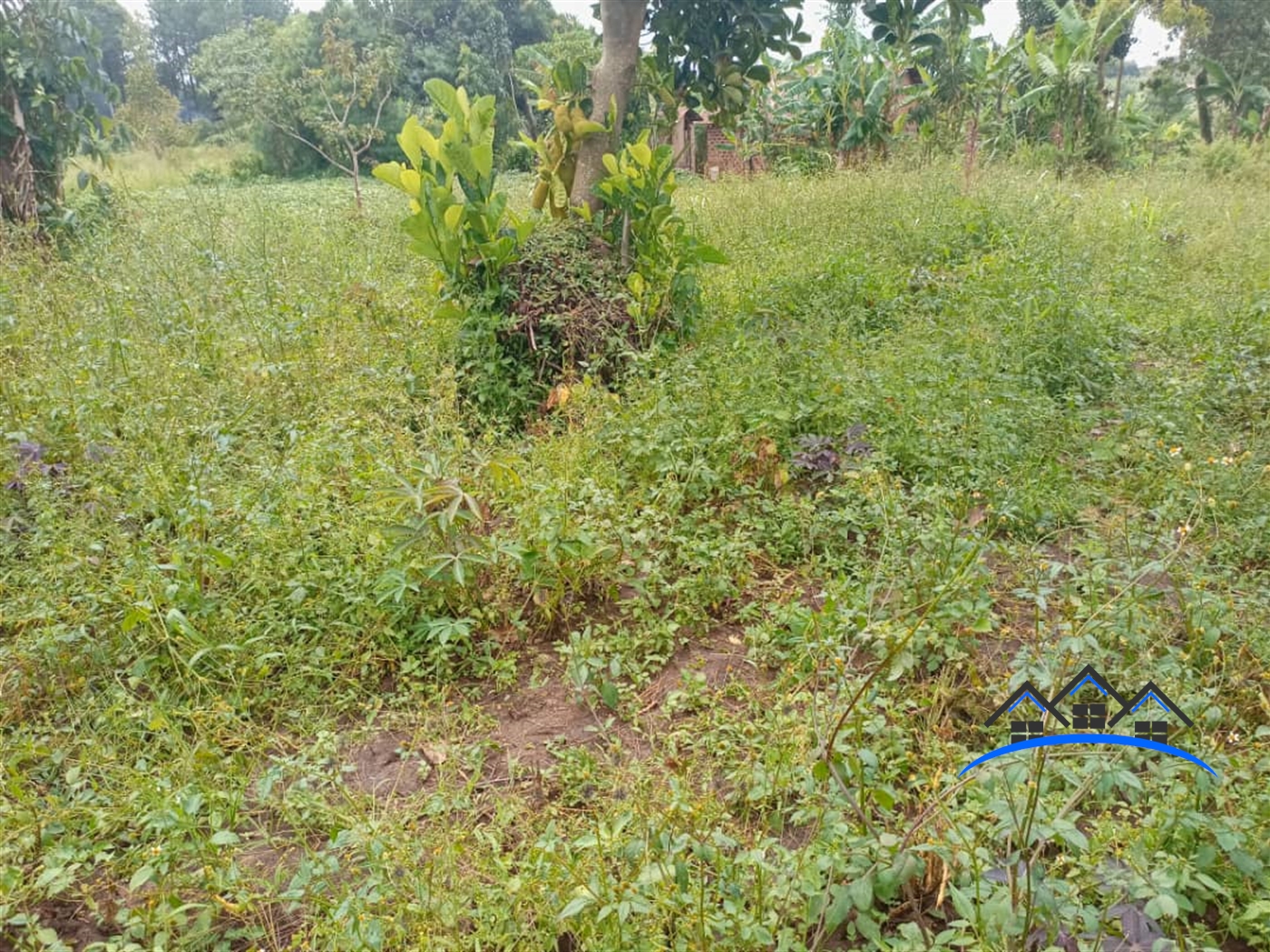 Residential Land for sale in Kigoogwa Wakiso