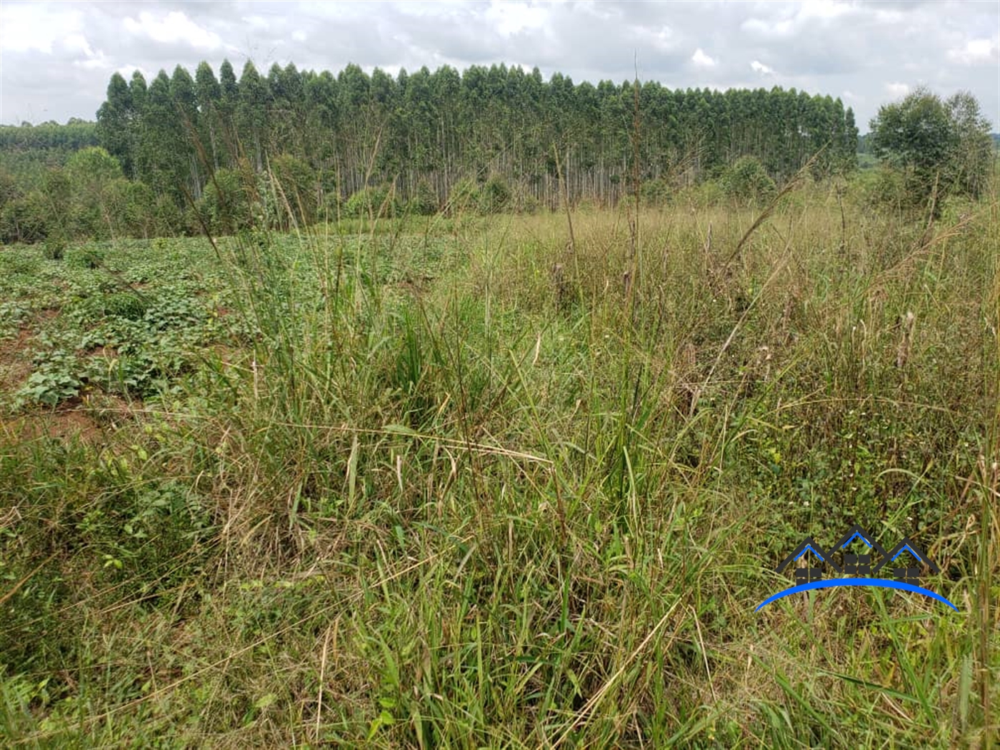 Residential Land for sale in Kabembe Mukono