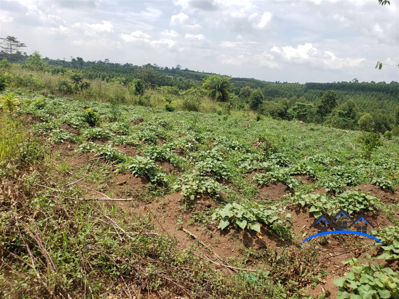 Residential Land for sale in Kabembe Mukono