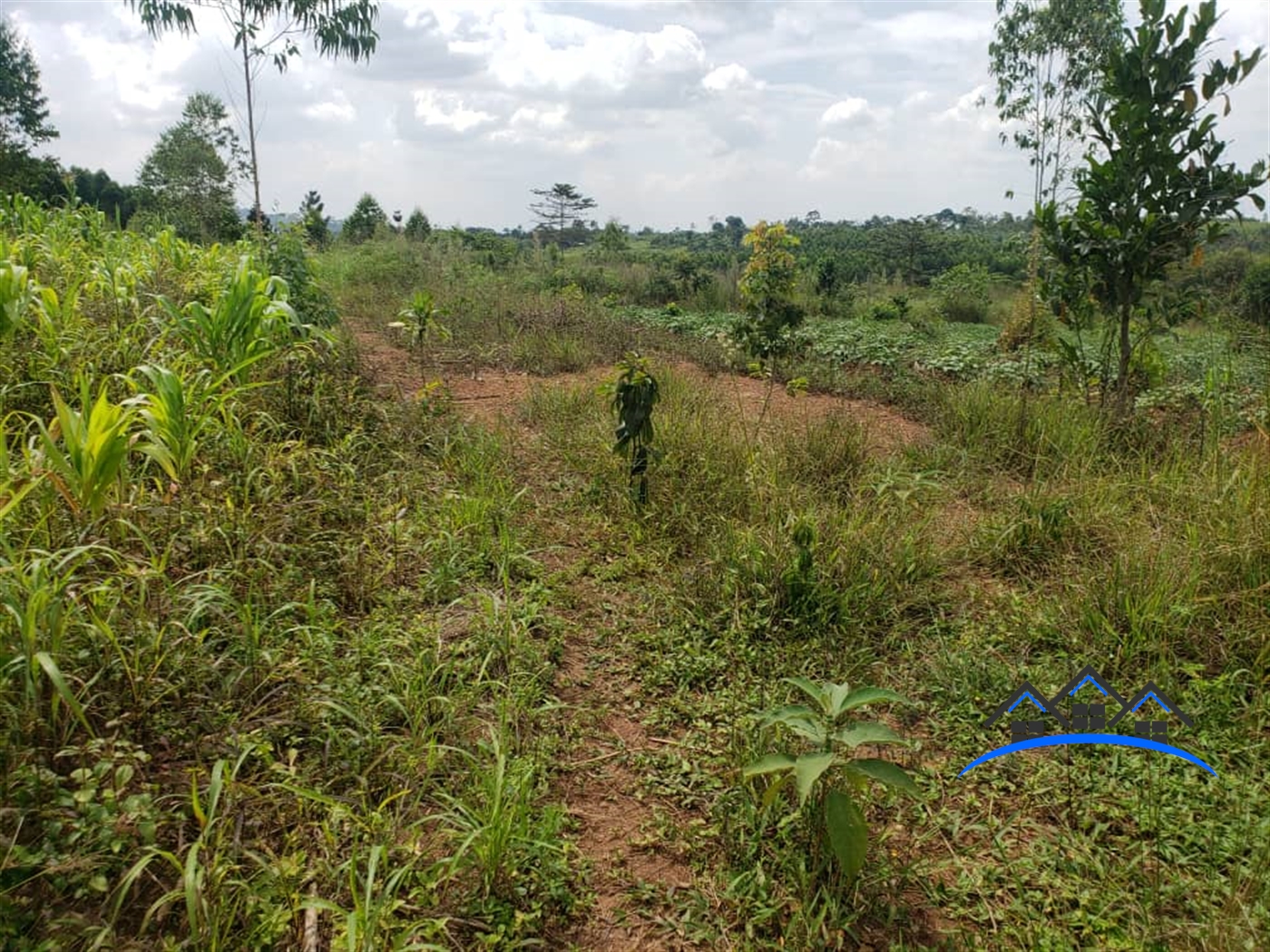 Residential Land for sale in Kabembe Mukono