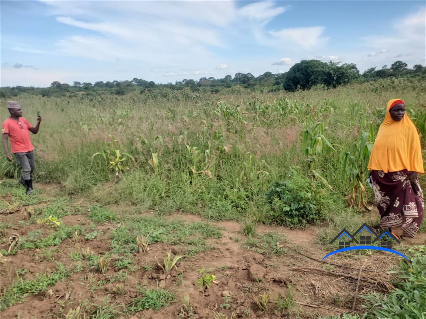 Agricultural Land for sale in Nalongo Luweero