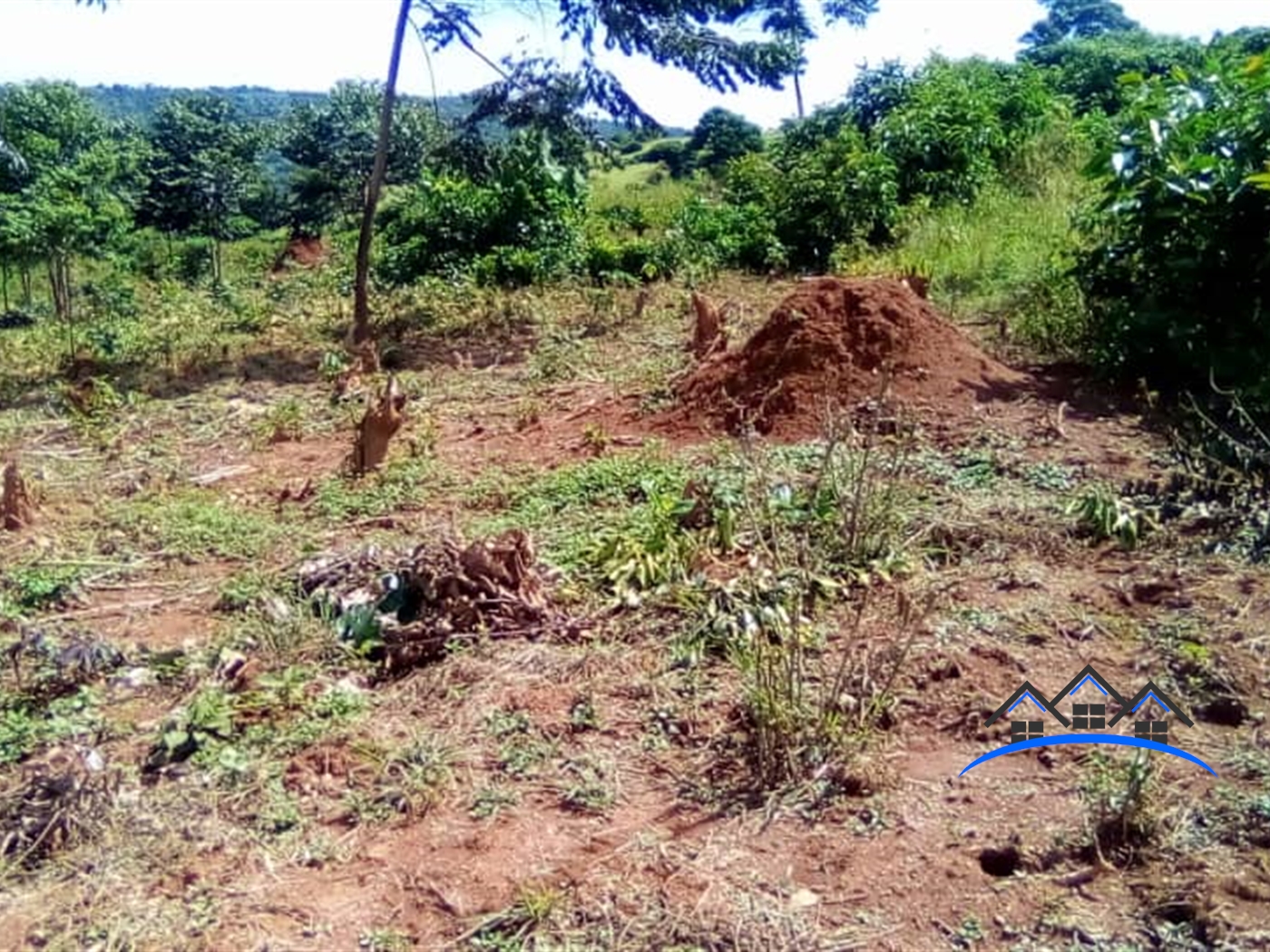 Agricultural Land for sale in Ssi Buyikwe