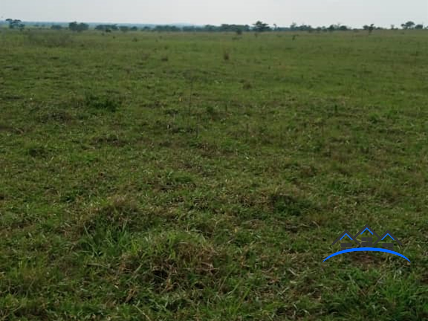 Agricultural Land for sale in Kakooge Luweero