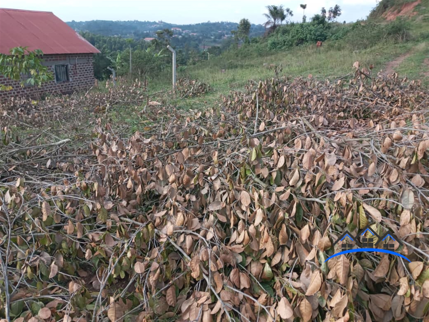 Residential Land for sale in Kiwenda Wakiso