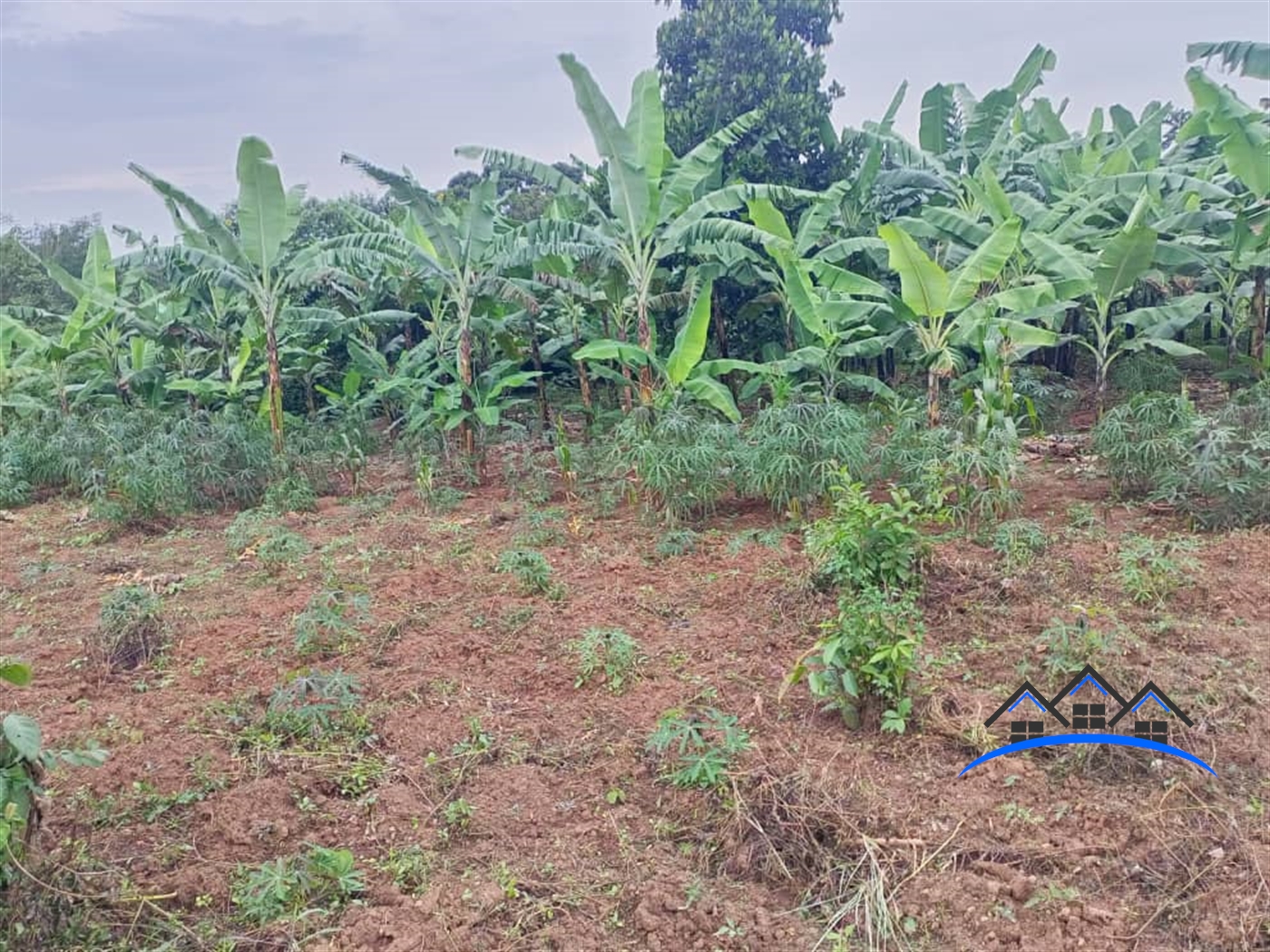 Residential Land for sale in Nabusigwe Wakiso