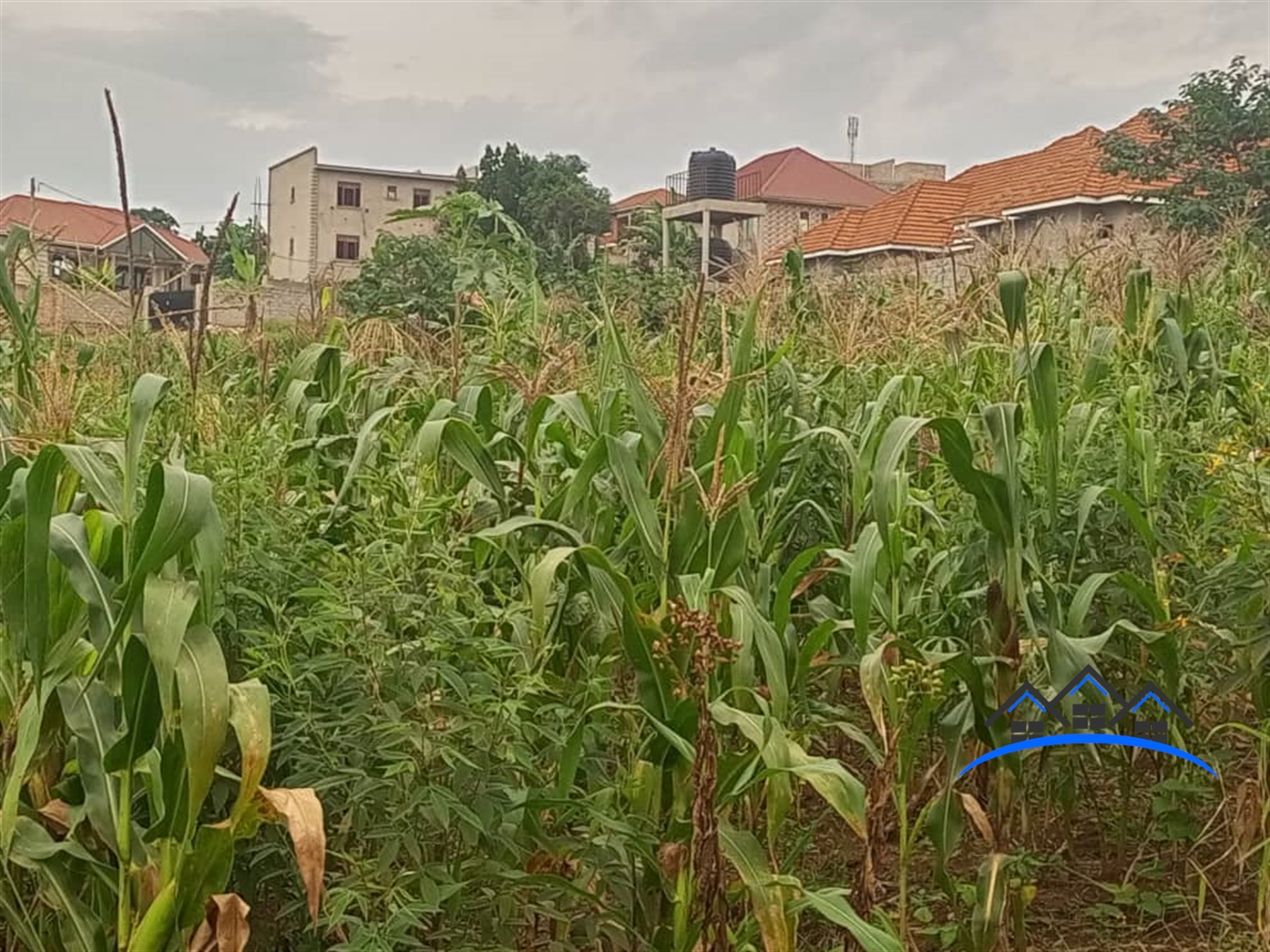 Residential Land for sale in Nabusigwe Wakiso