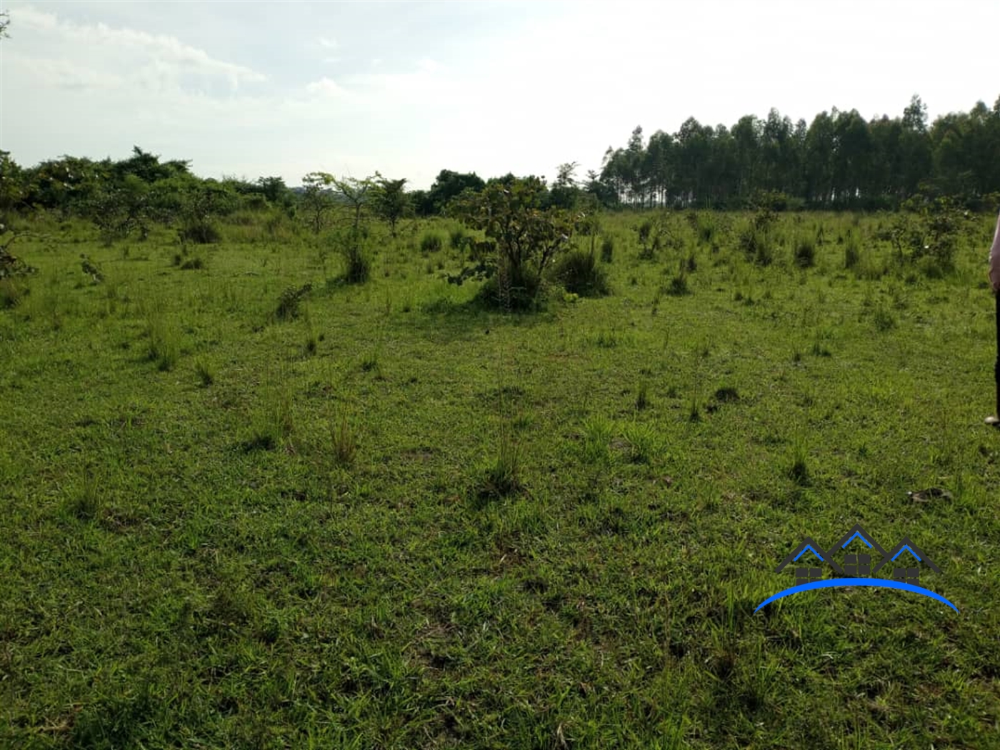 Multipurpose Land for sale in Kikyuusa Luweero