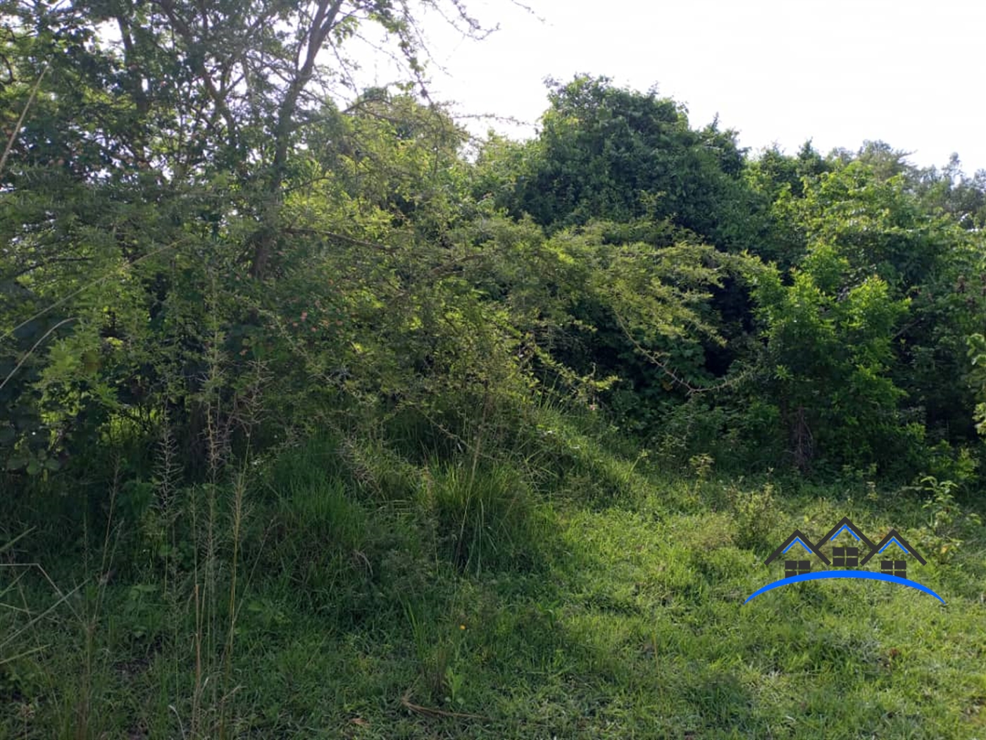 Multipurpose Land for sale in Kikyuusa Luweero