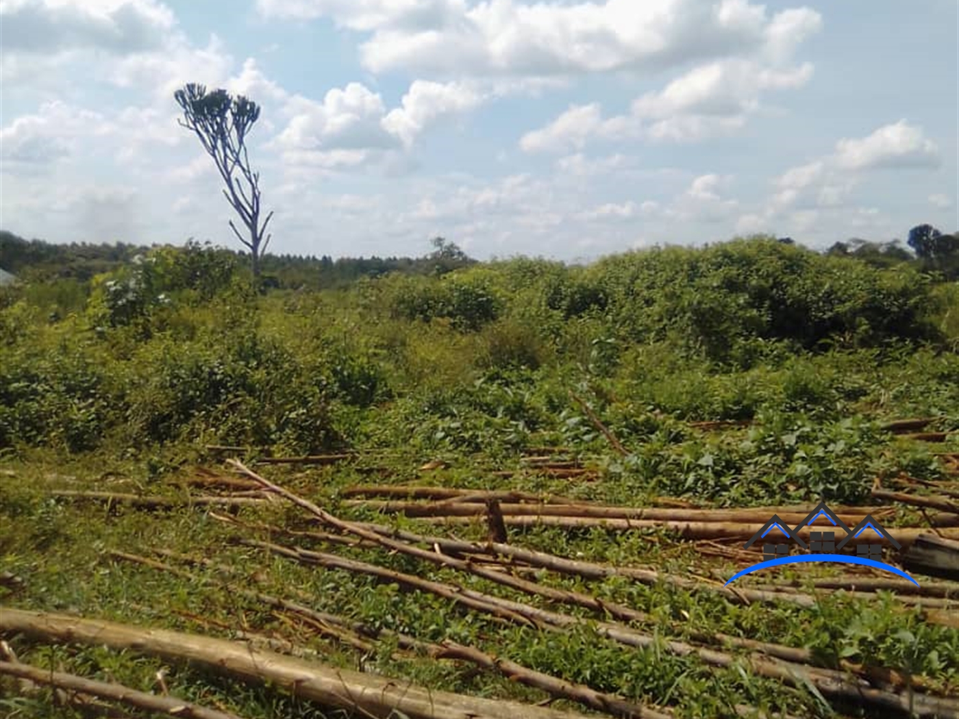 Multipurpose Land for sale in Bulemenzi Luweero