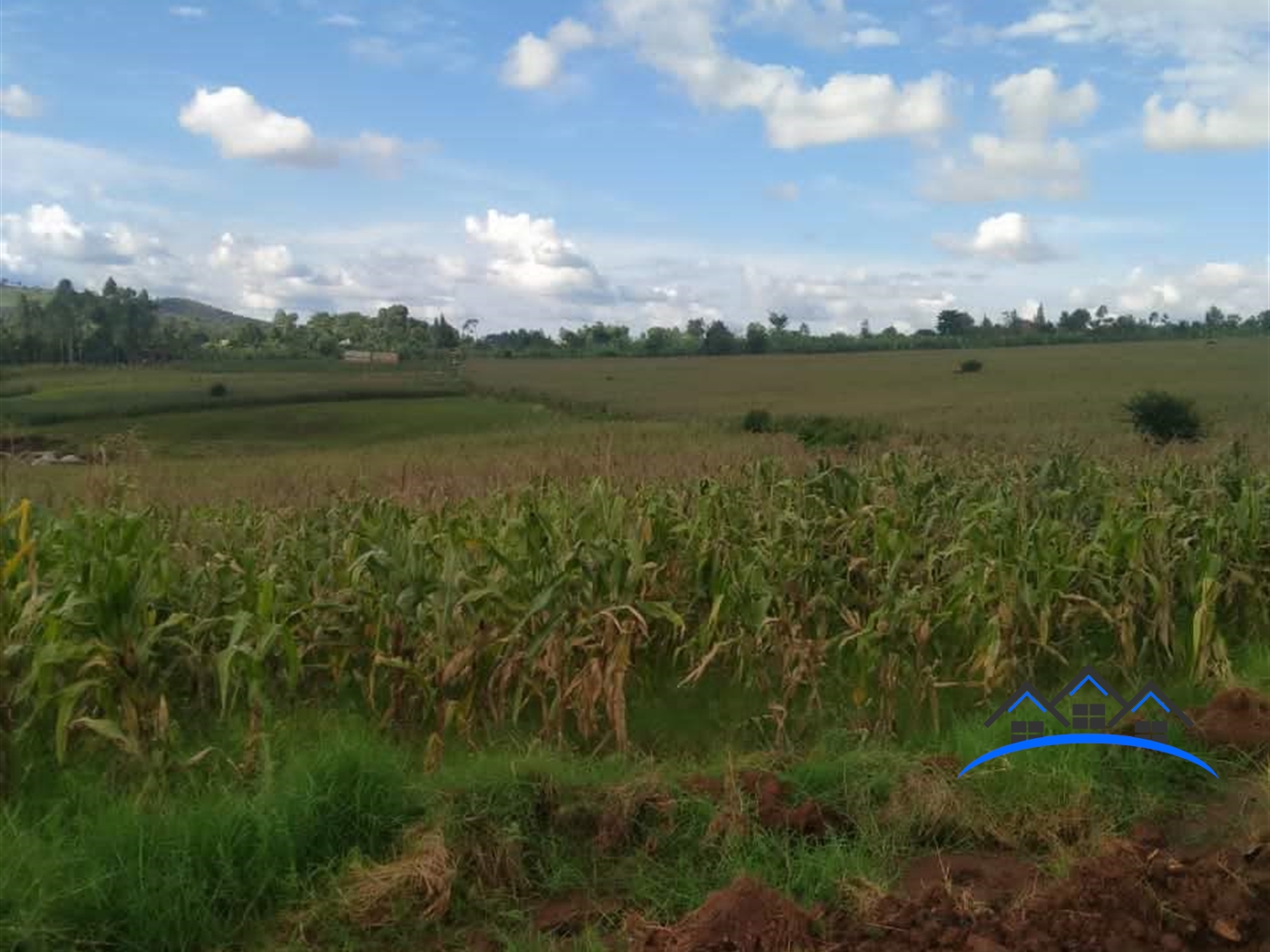 Commercial Land for sale in Maya Wakiso