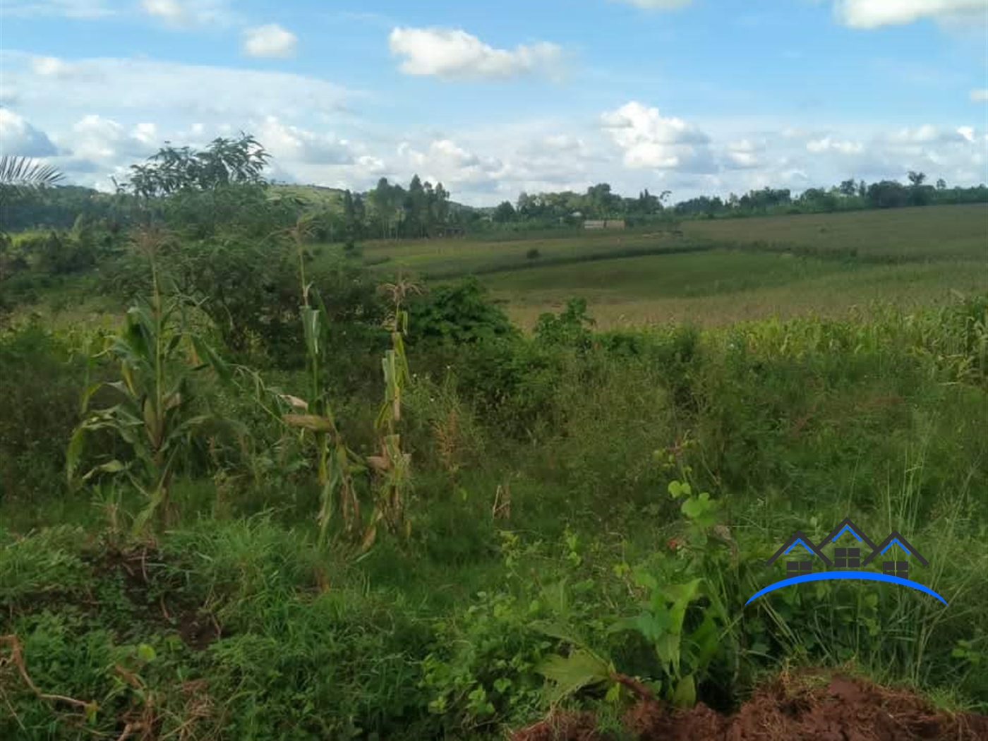 Commercial Land for sale in Maya Wakiso