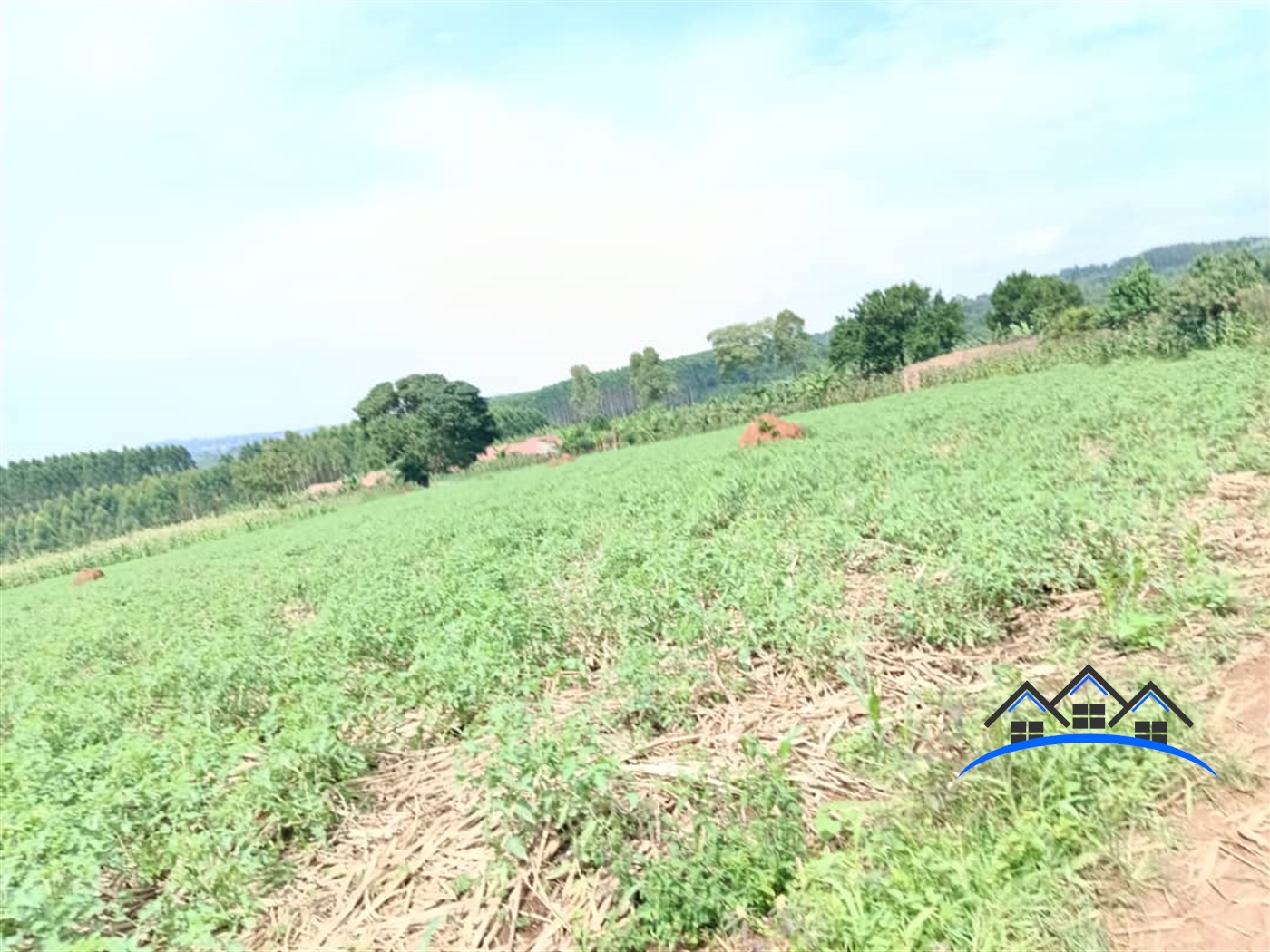 Residential Land for sale in Mpoma Mukono