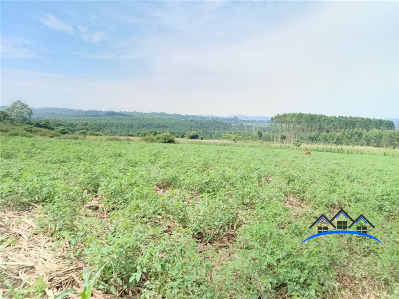 Residential Land for sale in Mpoma Mukono