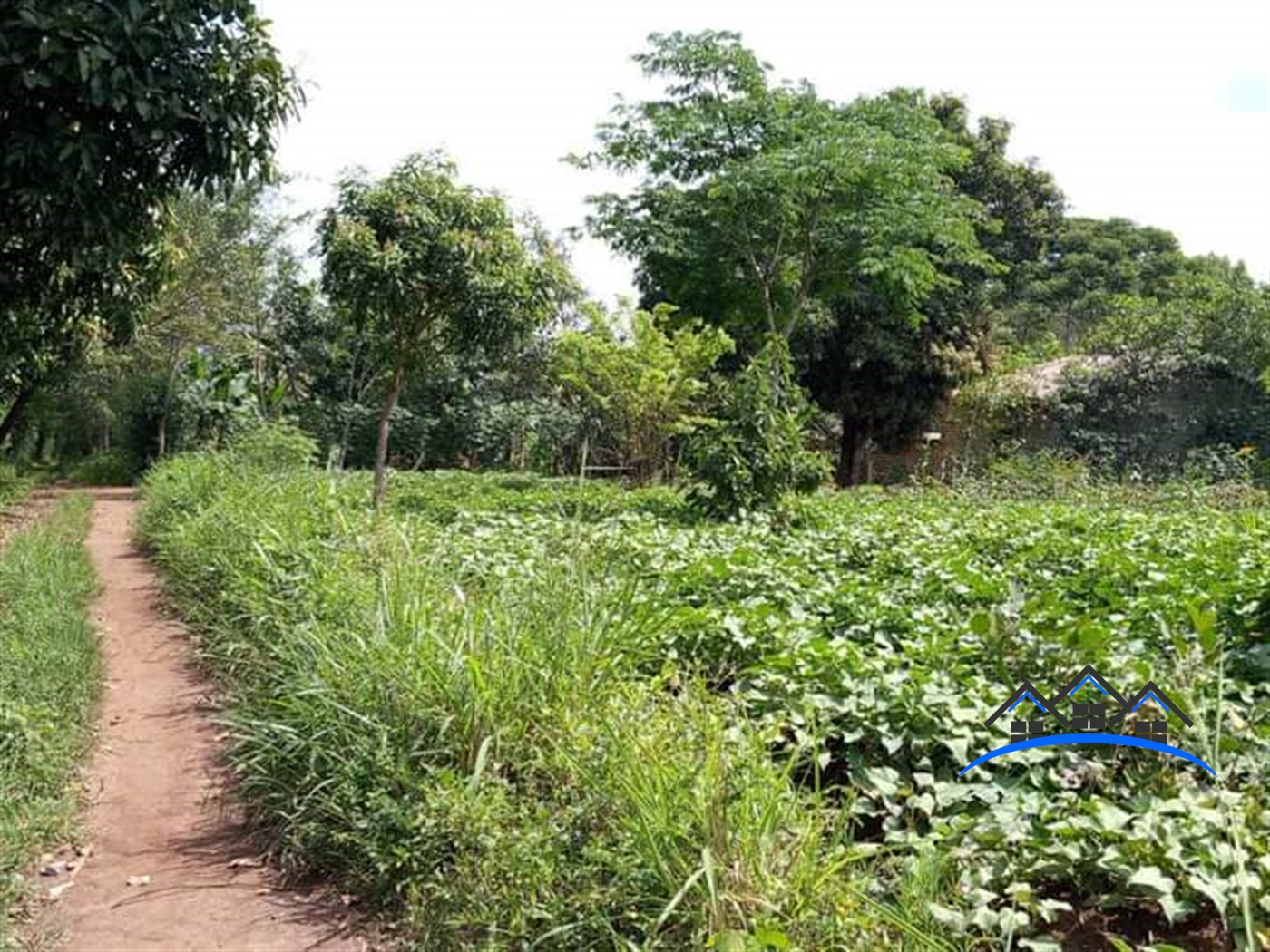 Residential Land for sale in Gayaza Wakiso