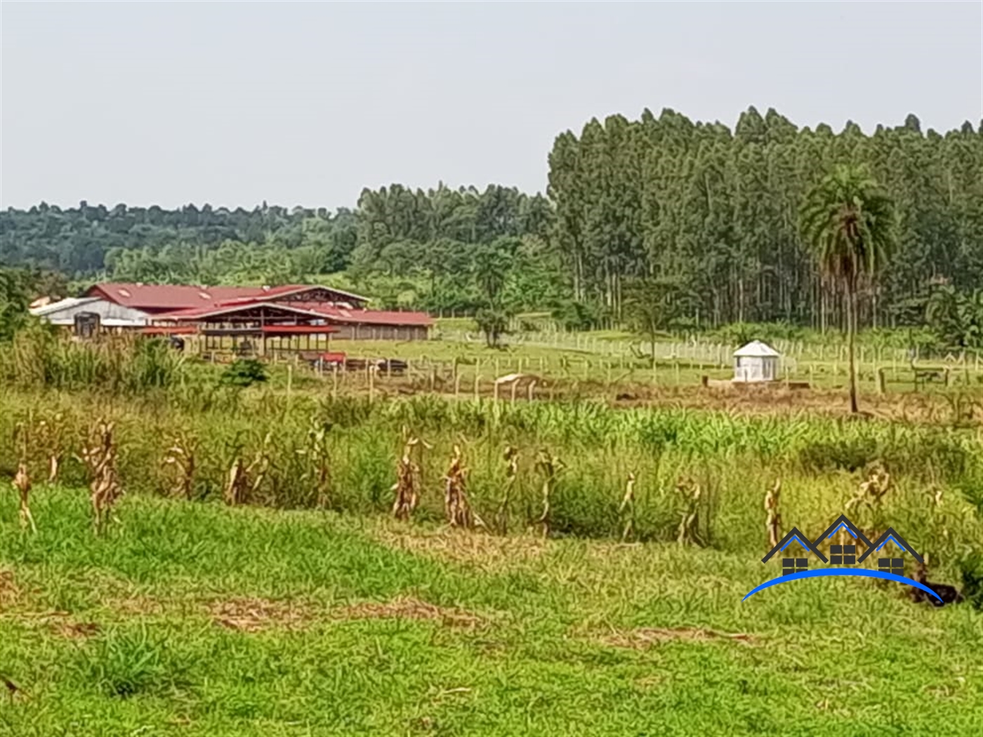 Commercial Land for sale in Kiwenda Wakiso