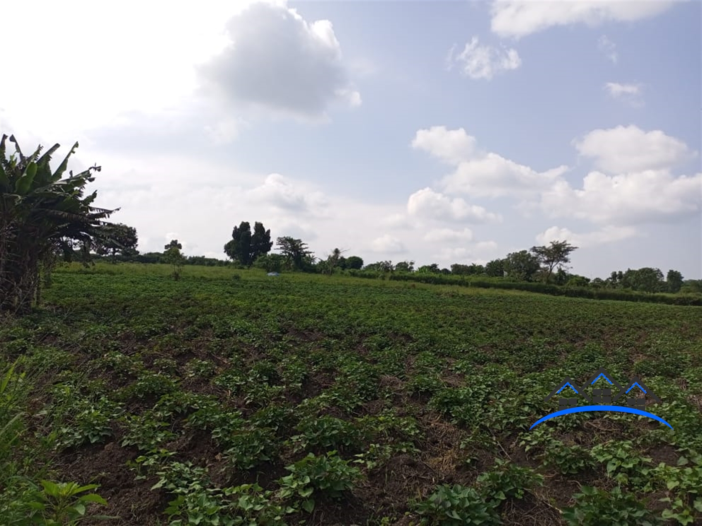 Commercial Land for sale in Kiwenda Wakiso