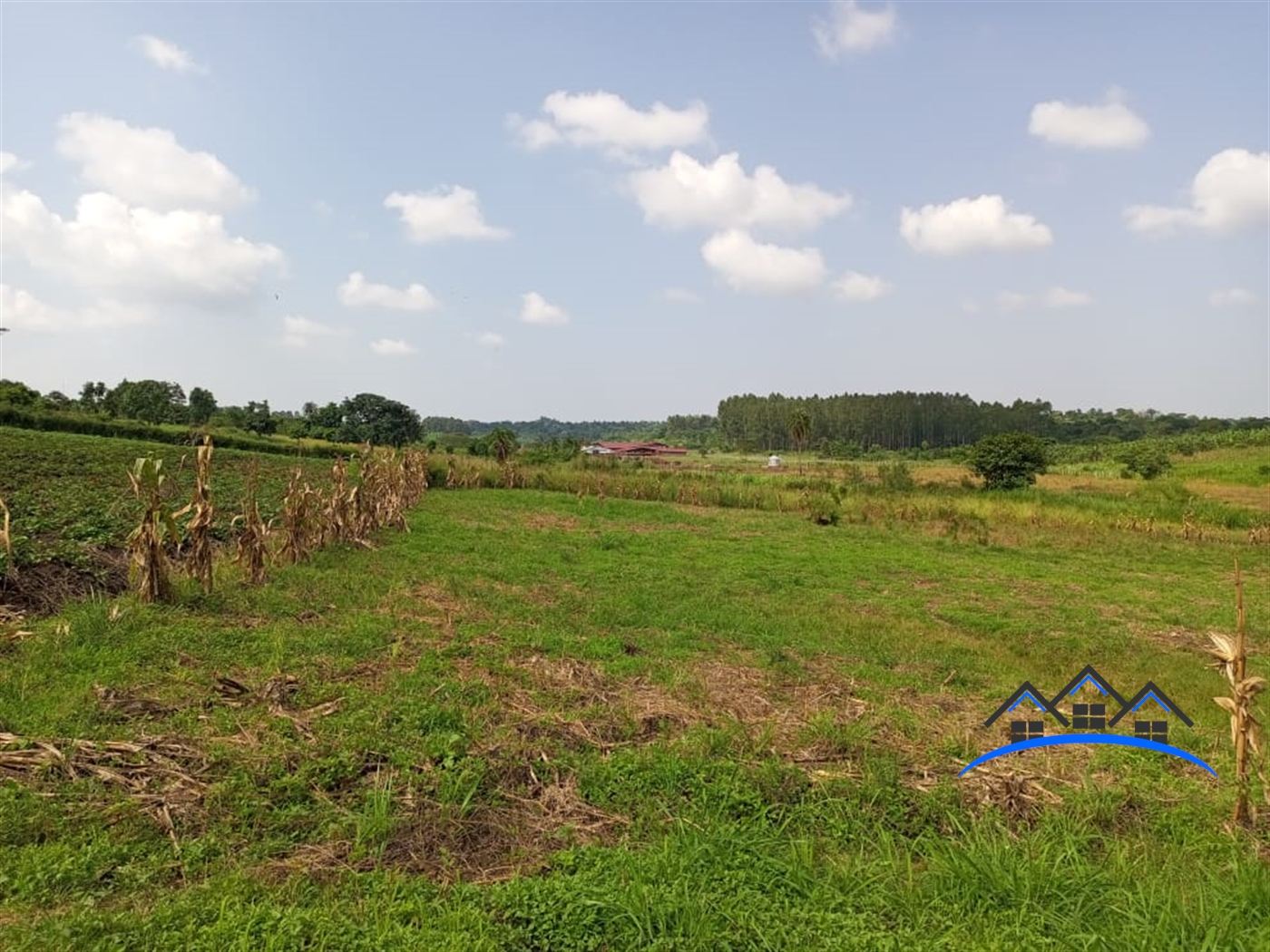 Commercial Land for sale in Kiwenda Wakiso