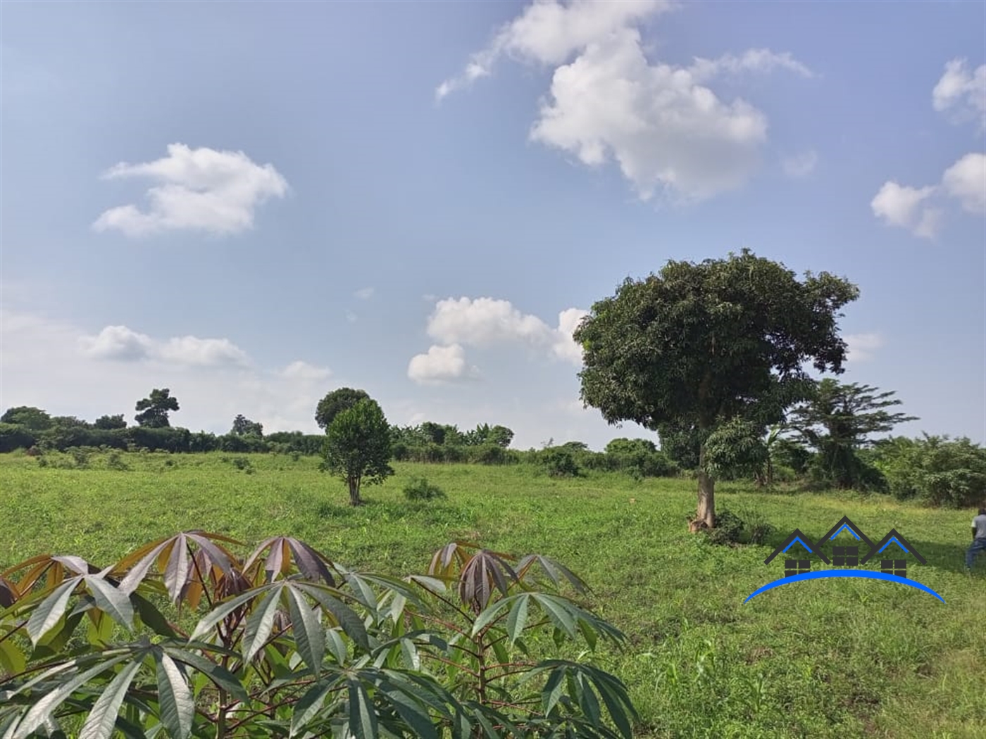 Commercial Land for sale in Kiwenda Wakiso