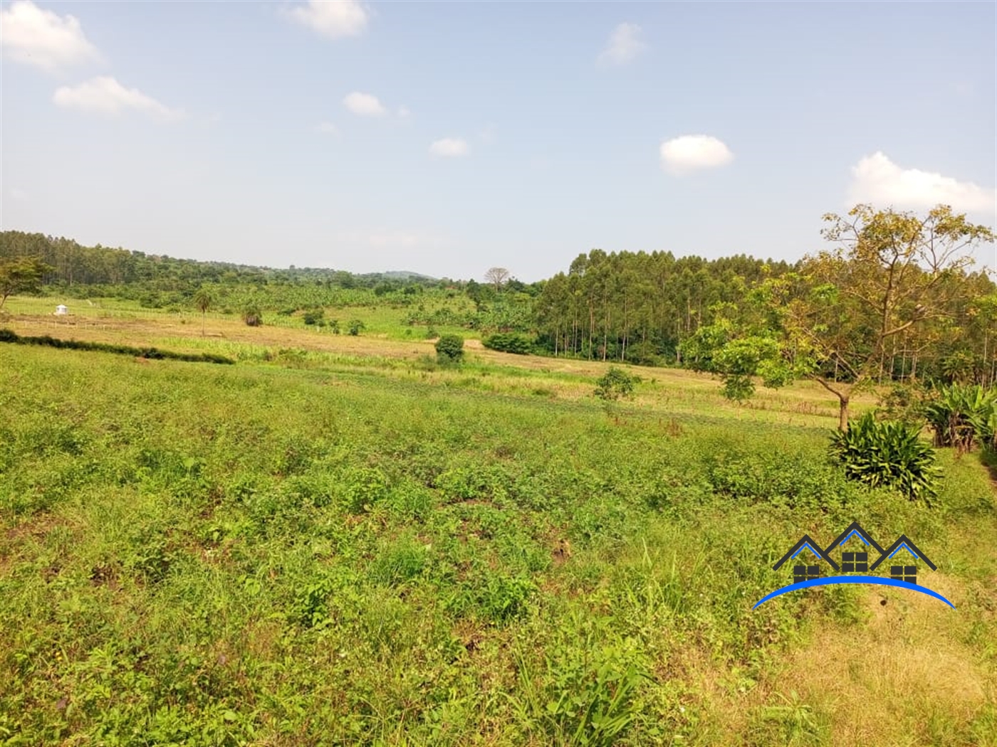 Commercial Land for sale in Kiwenda Wakiso