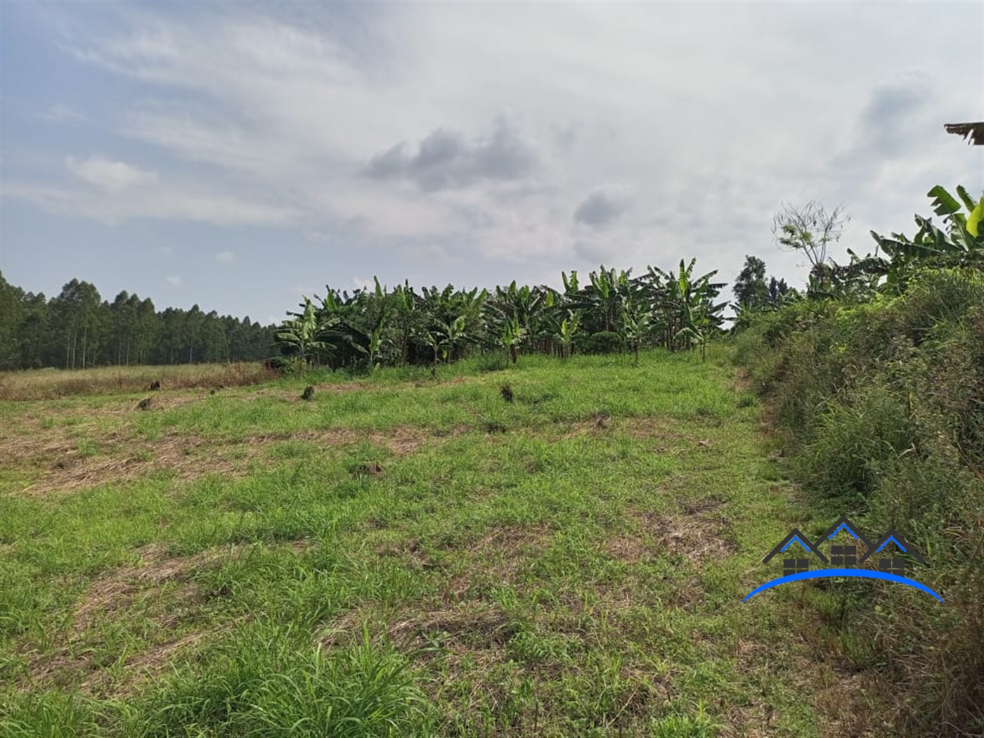 Commercial Land for sale in Kiwenda Wakiso