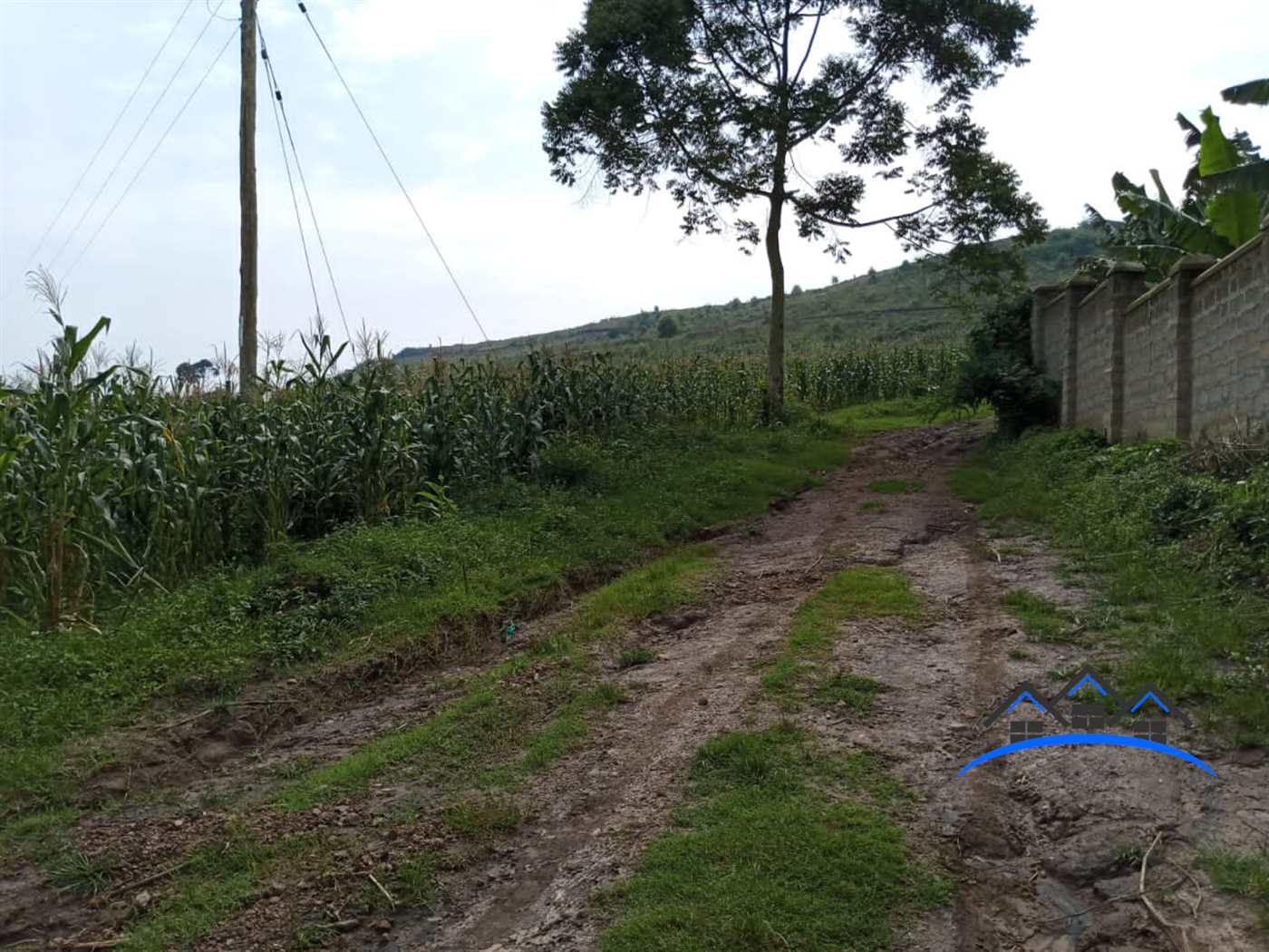 Agricultural Land for sale in Bujuuko Mpigi