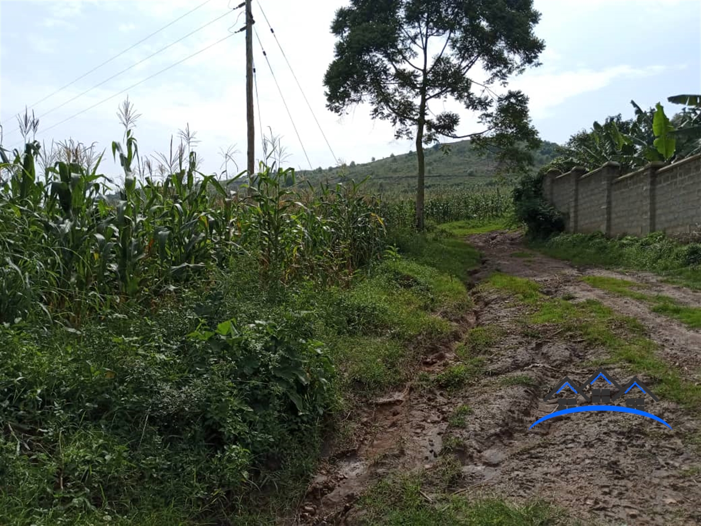 Agricultural Land for sale in Bujuuko Mpigi