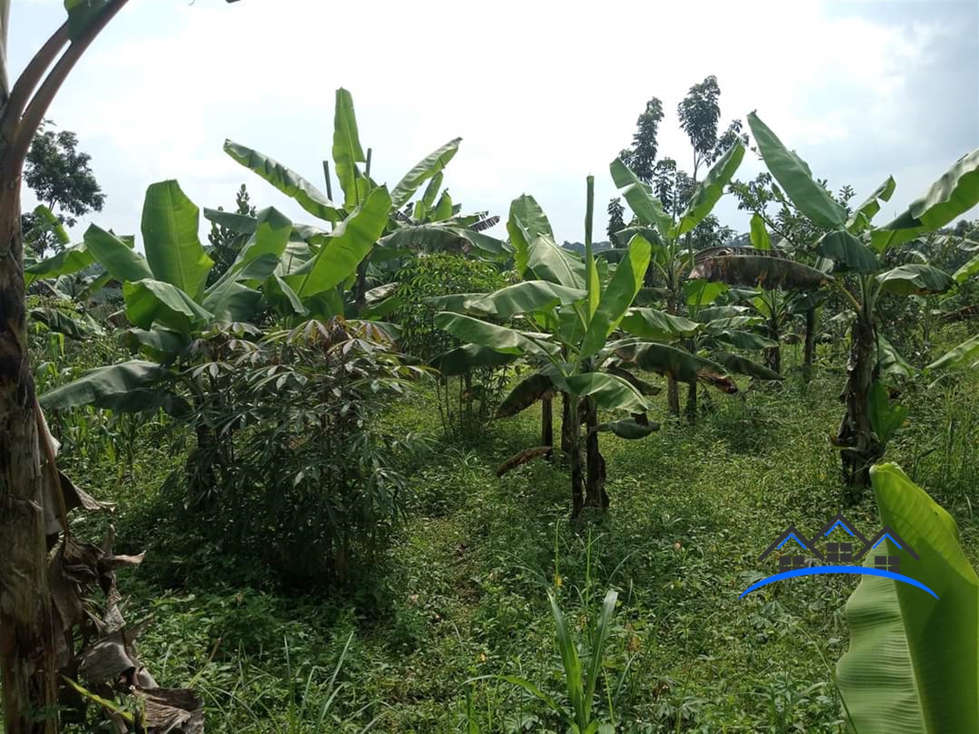 Agricultural Land for sale in Matugga Wakiso