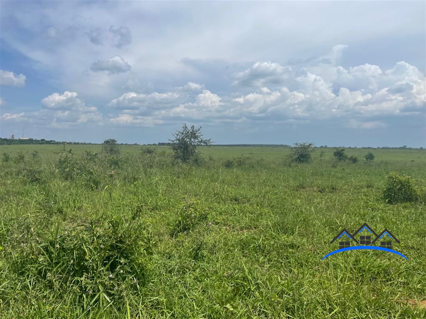 Agricultural Land for sale in Kinoni Nakasongola