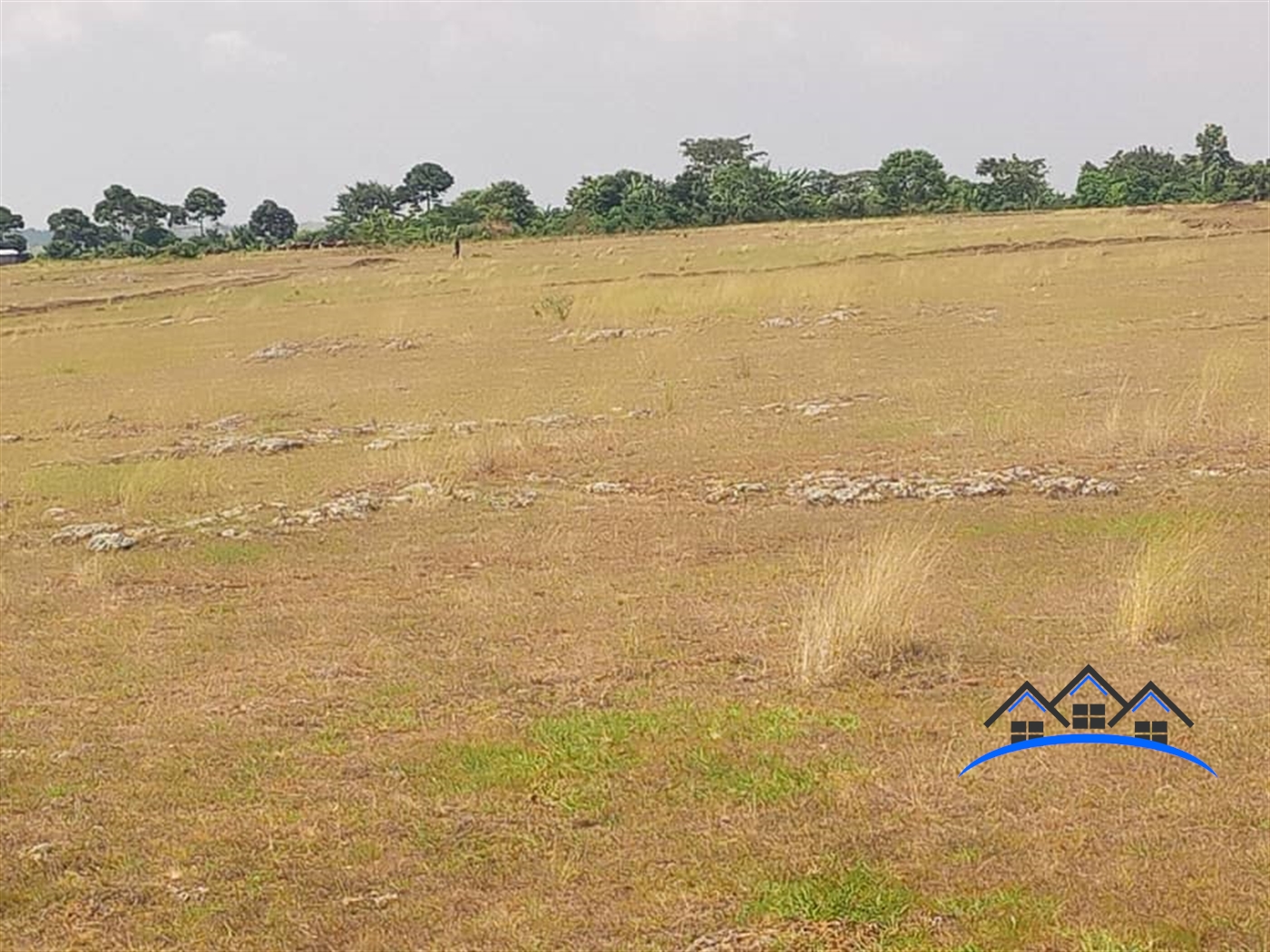 Residential Land for sale in Ssi Mukono