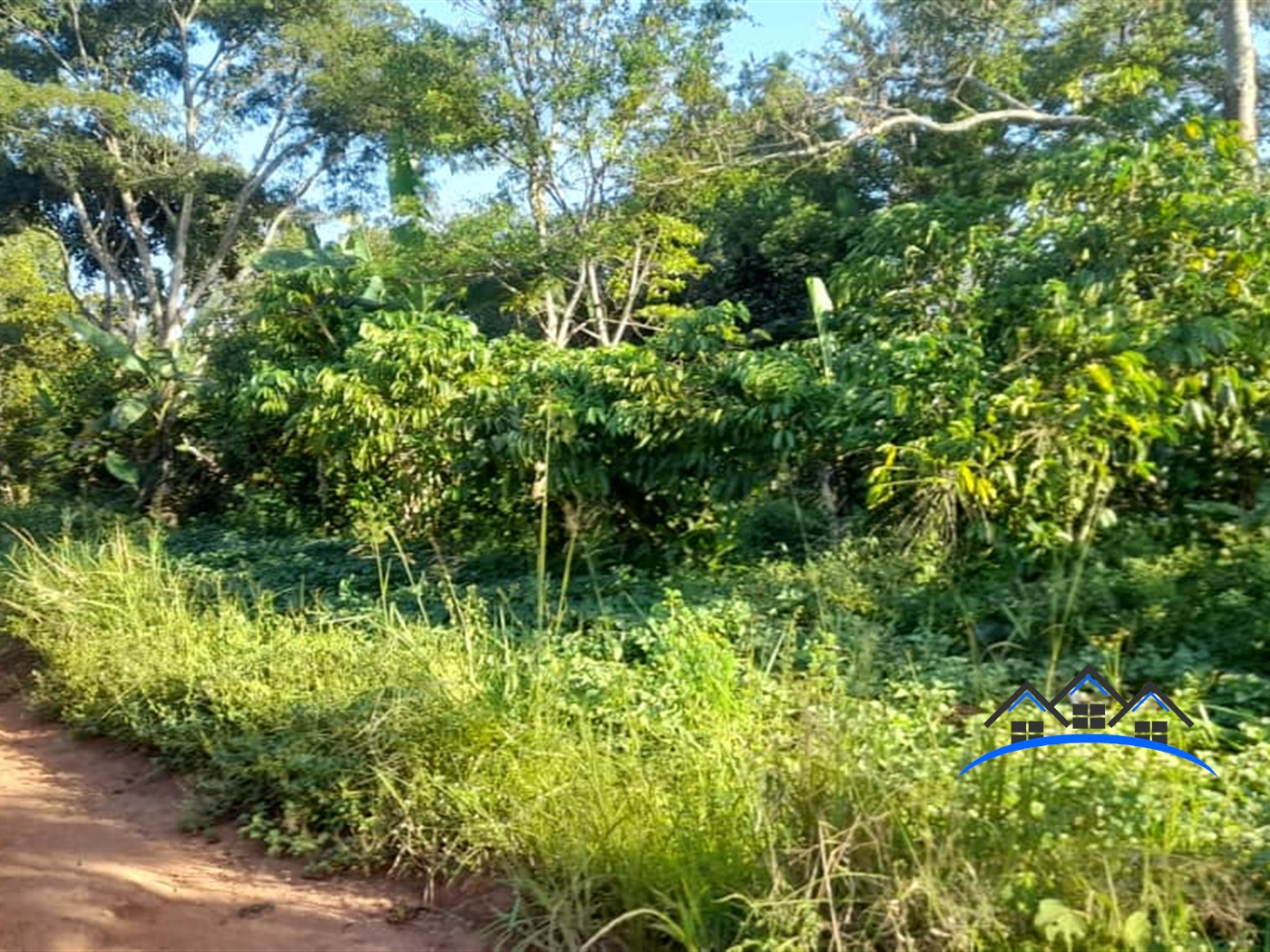 Agricultural Land for sale in Kiwumpa Luweero