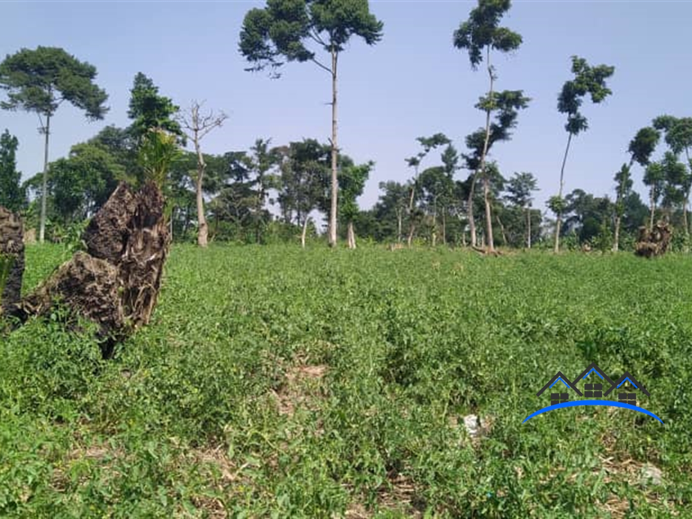 Agricultural Land for sale in Mawale Luweero