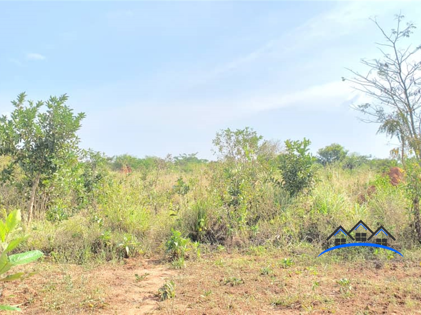 Residential Land for sale in Kalungi Nakasongola
