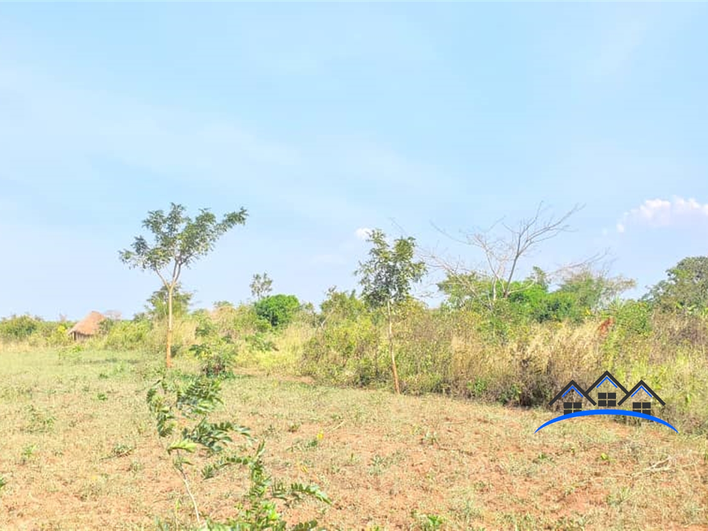 Residential Land for sale in Kalungi Nakasongola