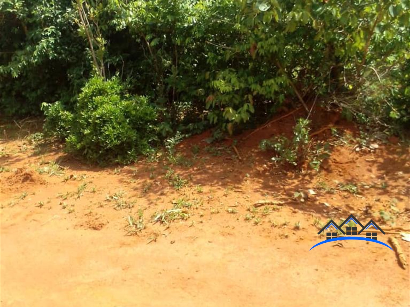 Farm for sale in Nakitoma Nakasongola