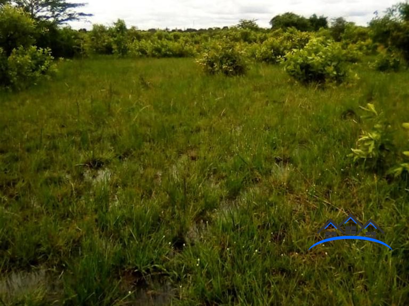 Farm for sale in Nakitoma Nakasongola