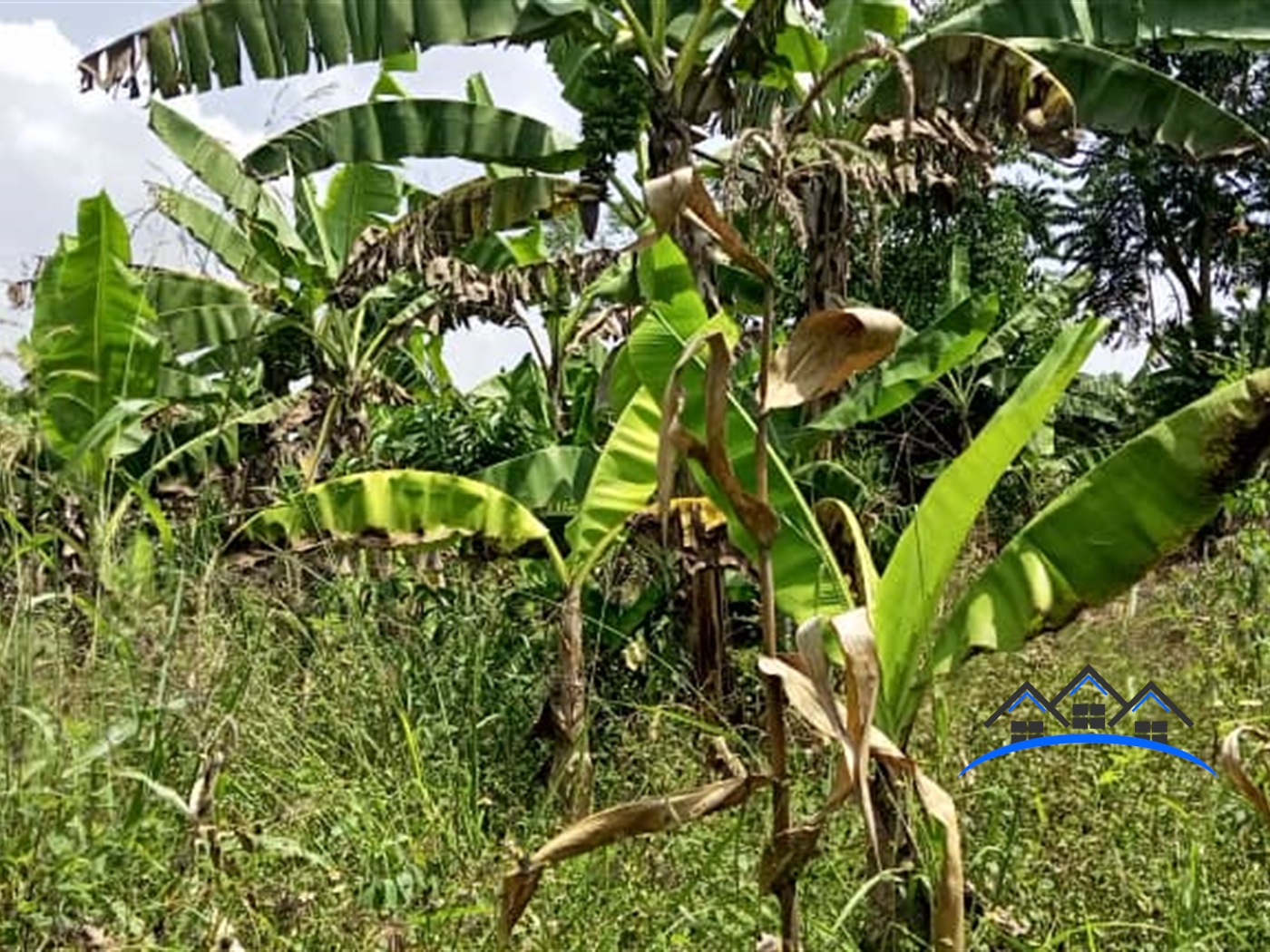 Residential Land for sale in Matugga Wakiso