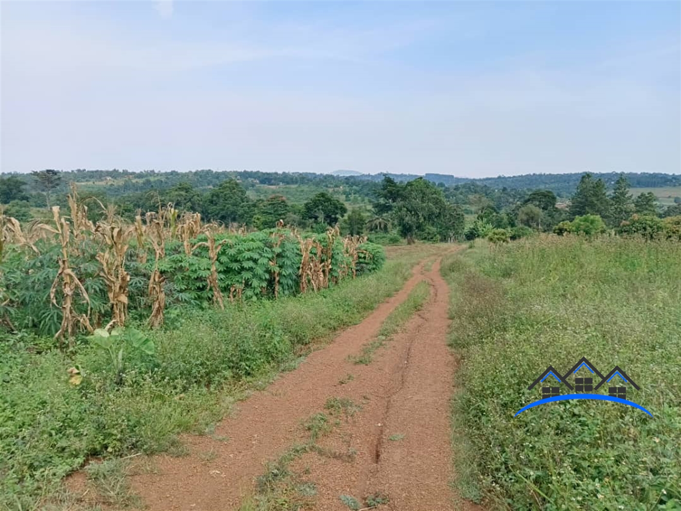 Agricultural Land for sale in Nakisunga Mukono