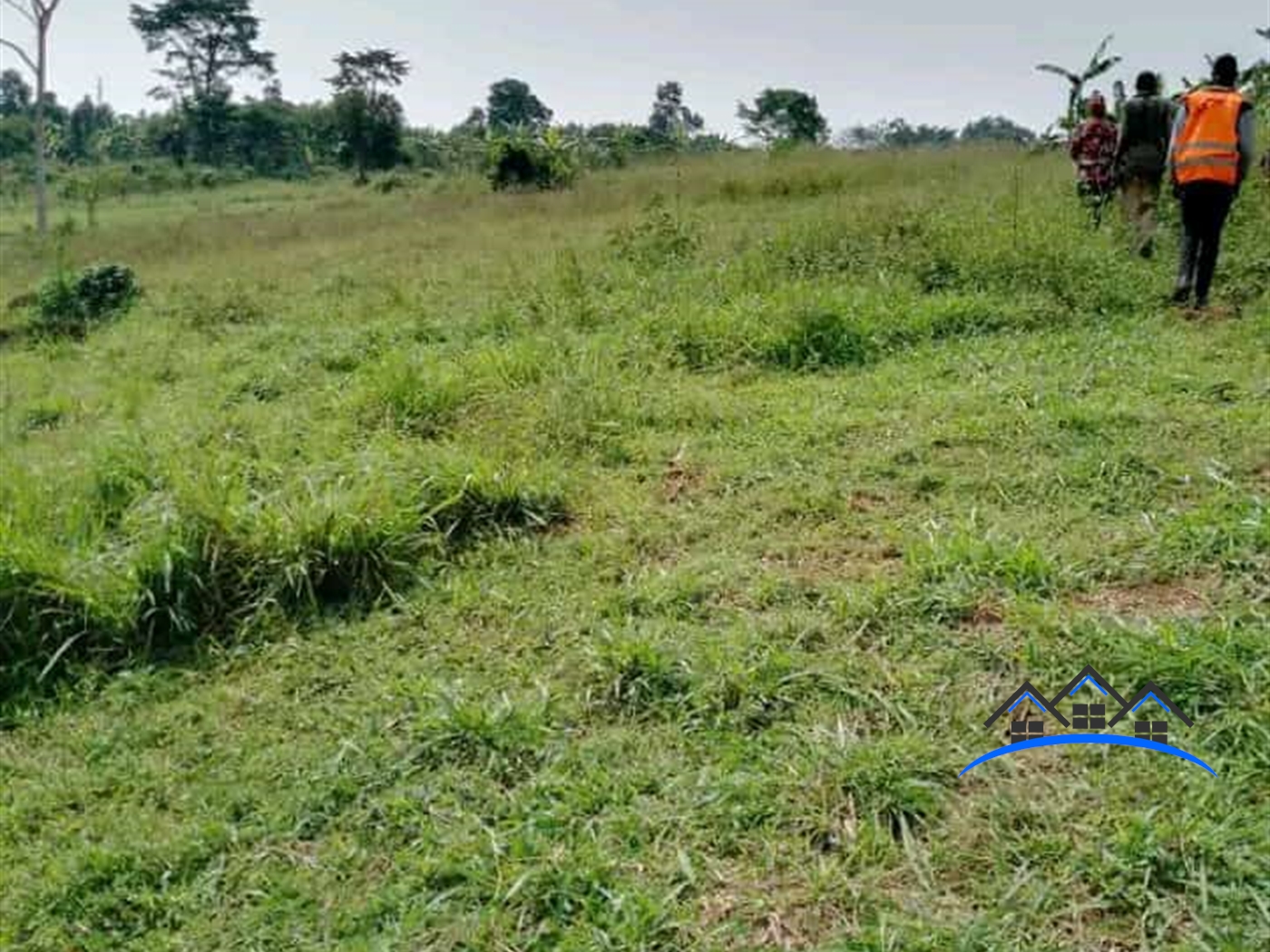 Agricultural Land for sale in Butende Iganga