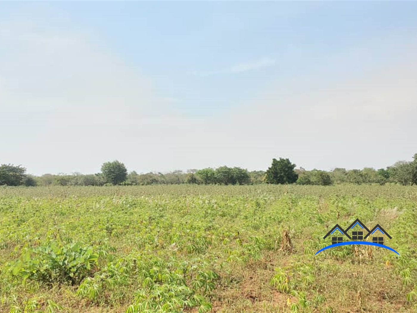 Agricultural Land for sale in Bamugolodde Luweero