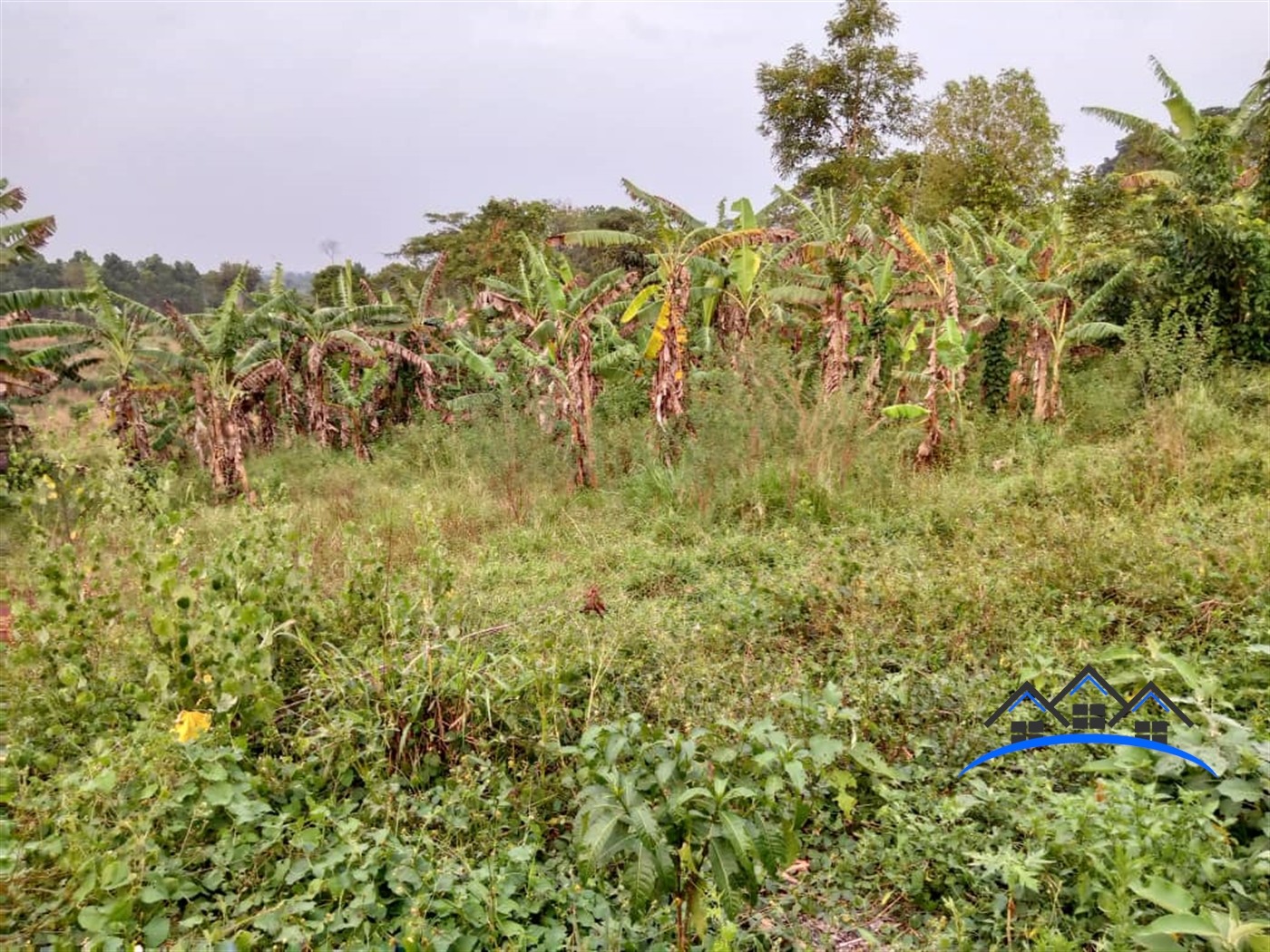 Residential Land for sale in Bombo Kampala